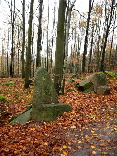 Gesamtansicht Felsenzeichnungen