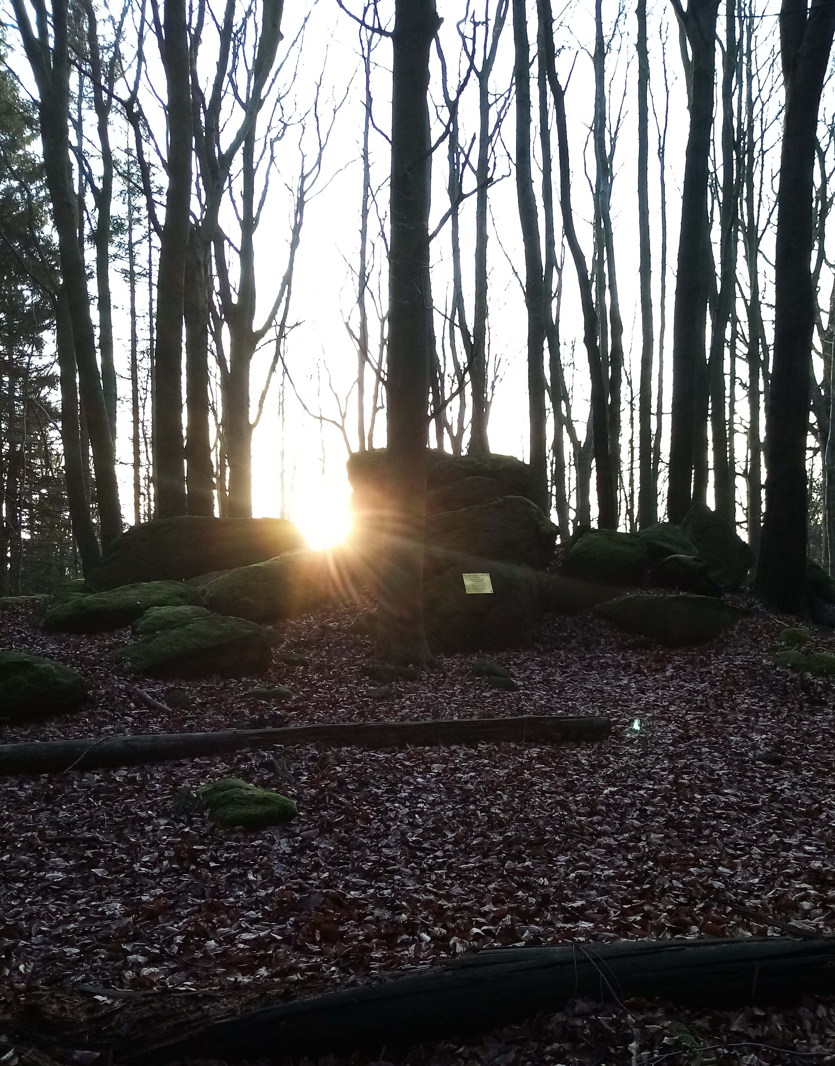 Sonnenuntergang am Ilse-Ohnesorge-Stein